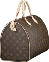 Louis Vuitton Classic Bag Prices | BRAGMYBAG