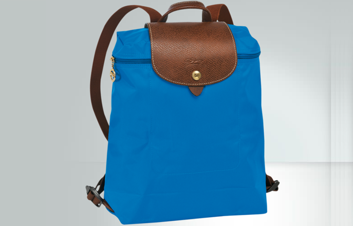 Longchamp Le Pliage Backpack: Is It 