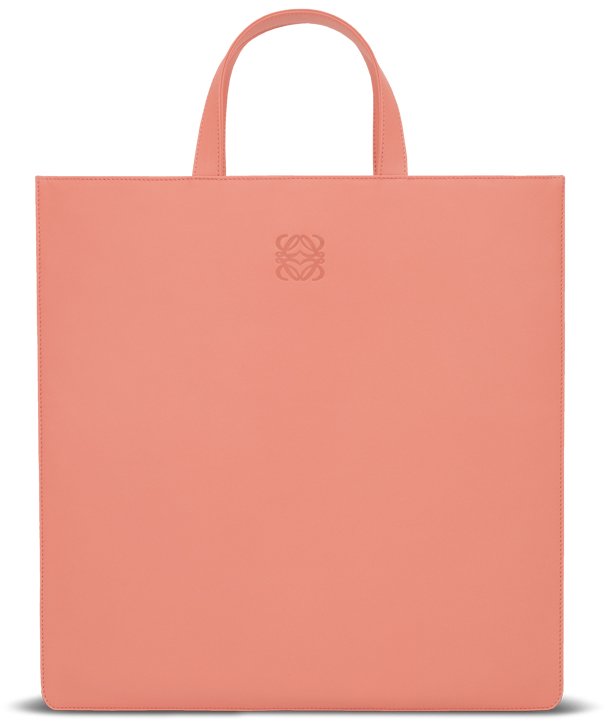 Loewe Vega Bag | Bragmybag