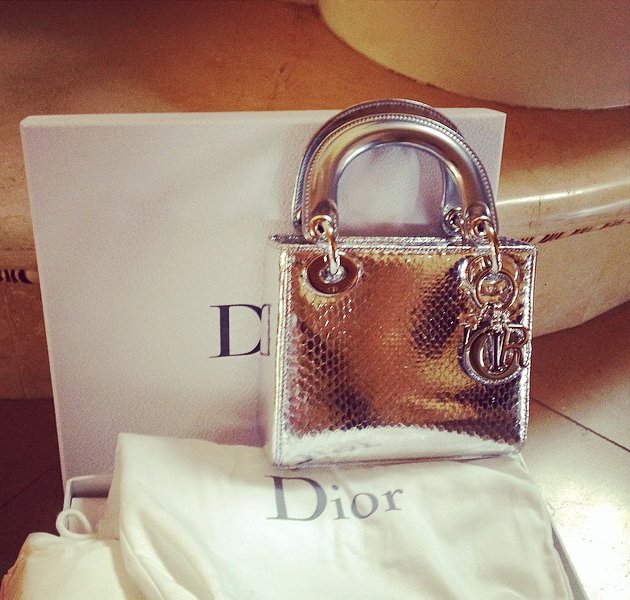 Boost Vinegar Culling Lady Dior Mini Python Silver Bag | Bragmybag