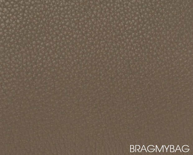 Celine Leather Guide | Bragmybag  