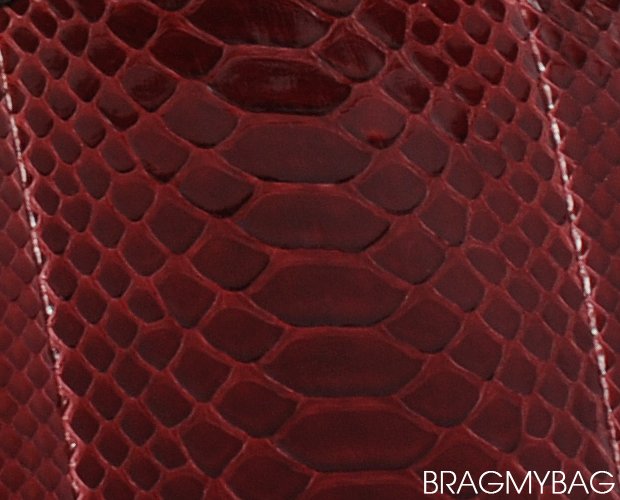 Celine Leather Guide | Bragmybag  