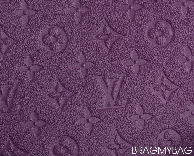 Louis Vuitton Leather Guide – Bragmybag