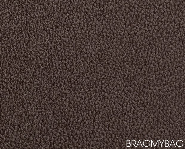 Louis Vuitton Leather Guide | Bragmybag