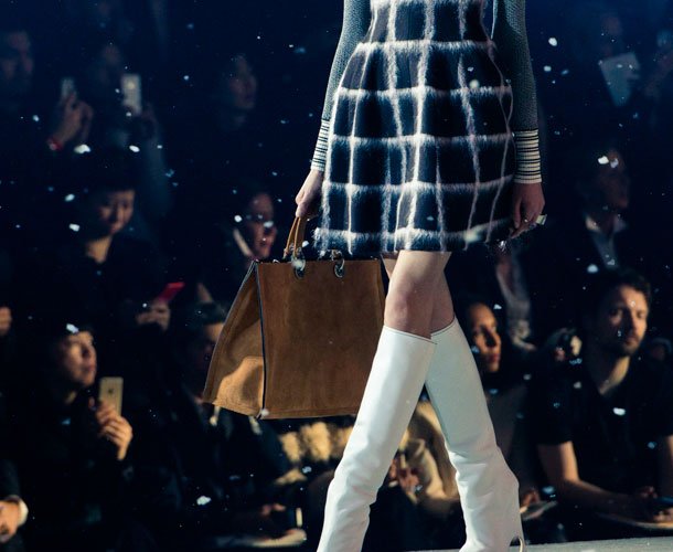 Dior-Pre-Fall-2015-Runway-Bag-Collection-20