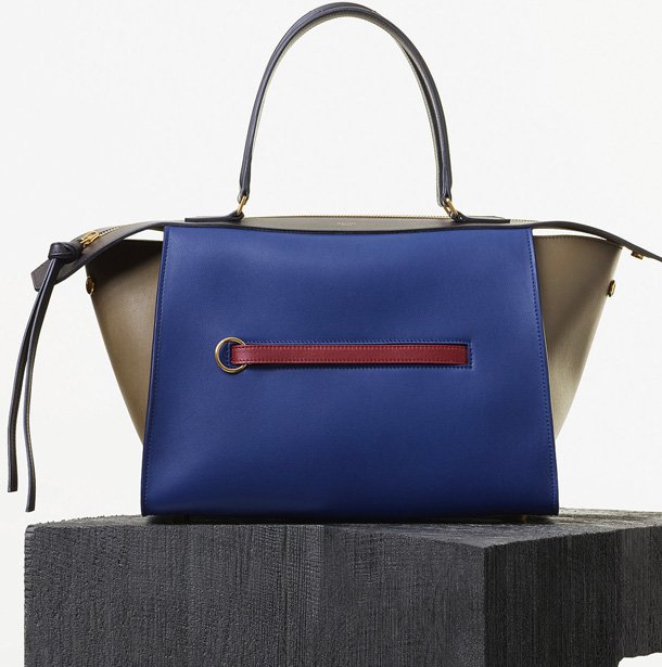 Celine-Small-Ring-Bag-in-Multicolour-Smooth-Calfskin