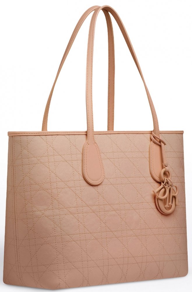 Dior Small Panarea Tote Bag | Bragmybag