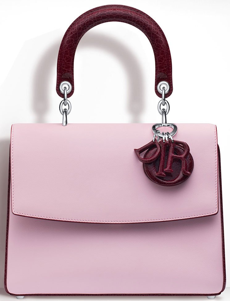The-Most-Beautiful-Be-Dior-Flap-Bags-4