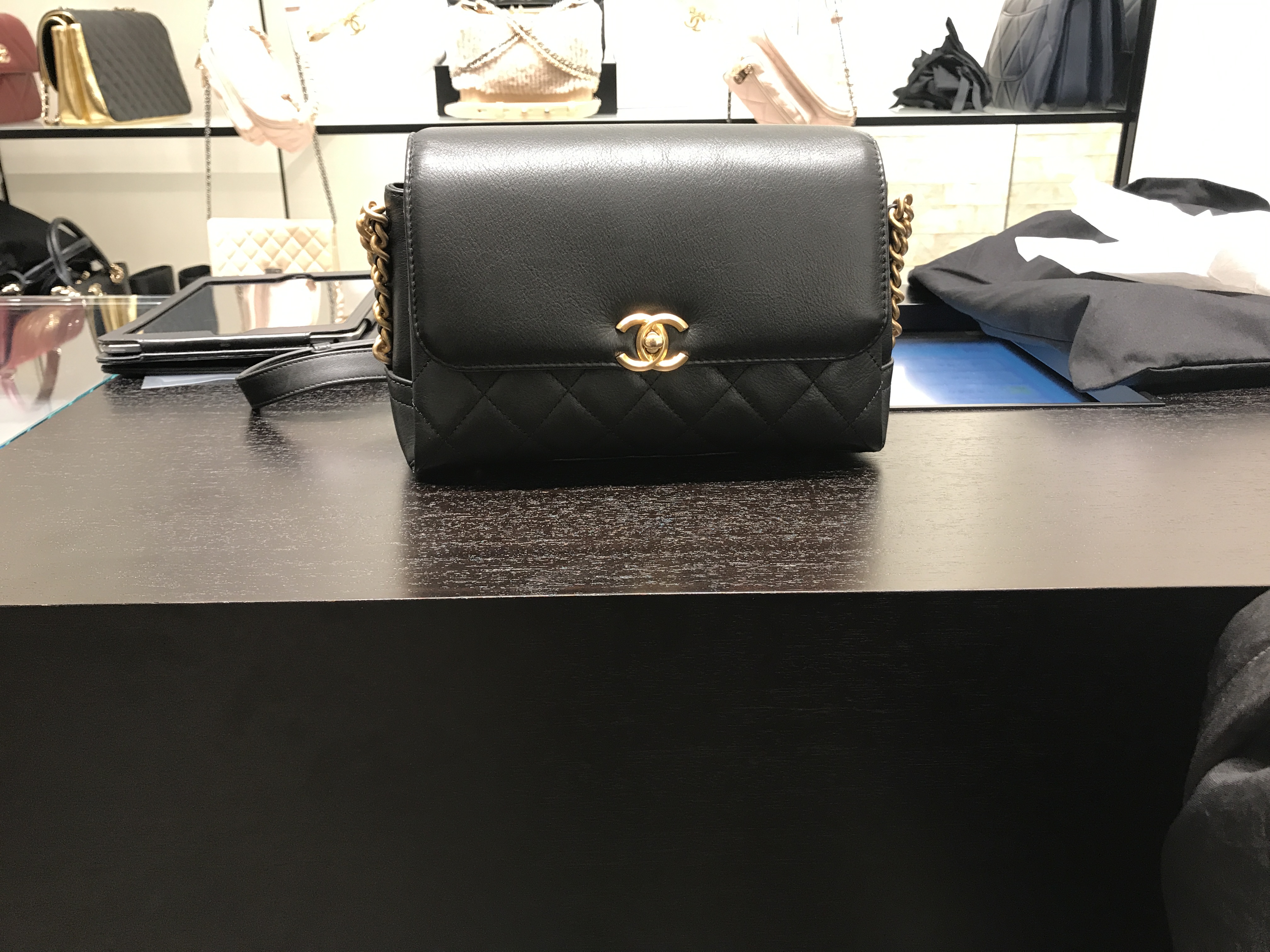 Chanel Fall Winter 2019 Seasonal Bag Collection Act 1
