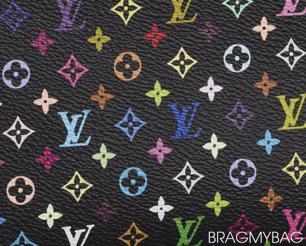 Louis Vuitton Leather Guide | Bragmybag