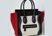 absolute collector celine nano luggage  
