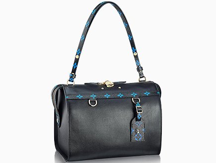 Louis Vuitton Speedy  Bag