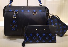 Louis Vuitton Louise Bag Details | Bragmybag