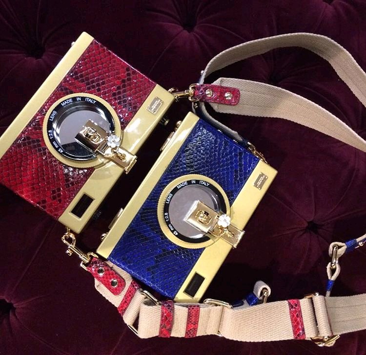 A-Closer-Look-Dolce-And-Gabbana-Camera-Case-Bag