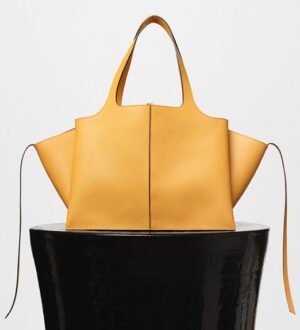 Celine Fall 2016 Seasonal Bag Collection | Bragmybag
