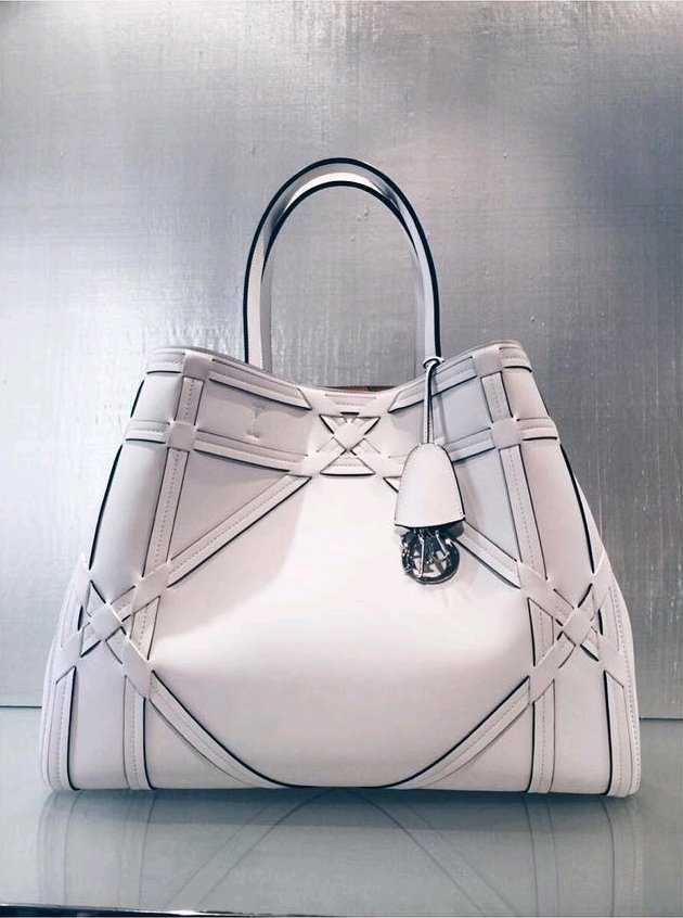 Dior-Connect-Bag