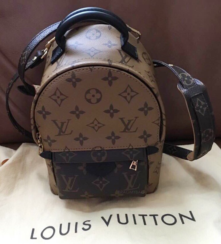 Louis-Vuitton-Reversed-Monogram-Palm-Spring-Backpack-2