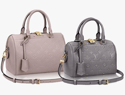 Louis Vuitton Speedy 20 Bag | Bragmybag