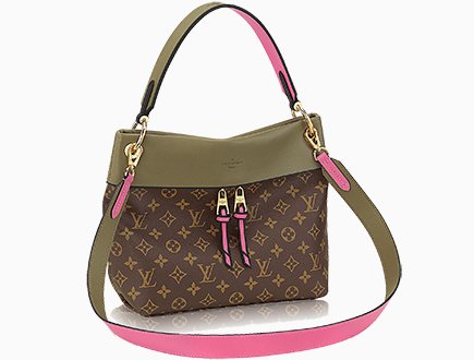 LOUIS VUITTON Monogram Canvas and Tricolor Leather Tuileries NM Bag –  PearlaaClosetLLC
