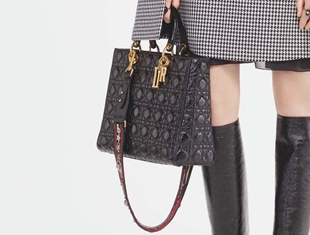Dior Pre Fall 2017 Bag Collection Preview thumb