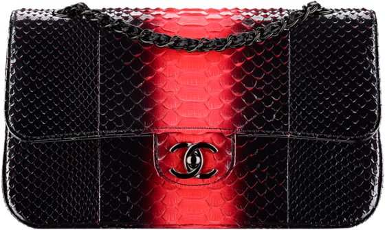 Chanel Spring Summer 2017 Exotic Bag Collection Act 2