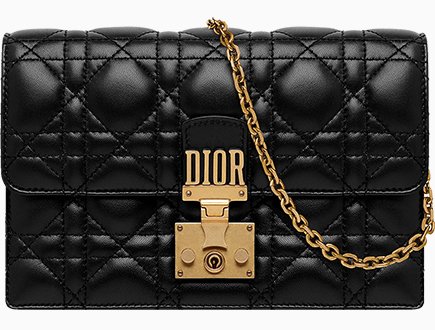 DiorAddict Wallet On Chain thumb
