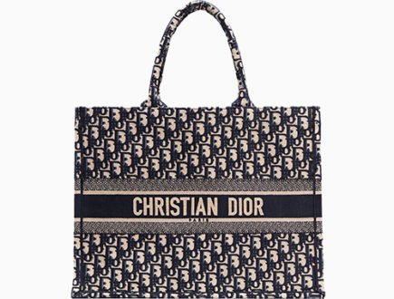 Dior Book Tote Bag | Bragmybag