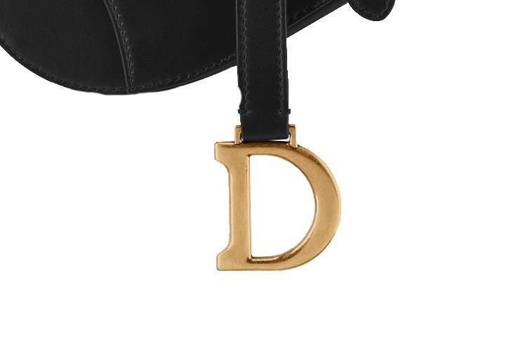 Dior-Mini-Saddle-Bag-11