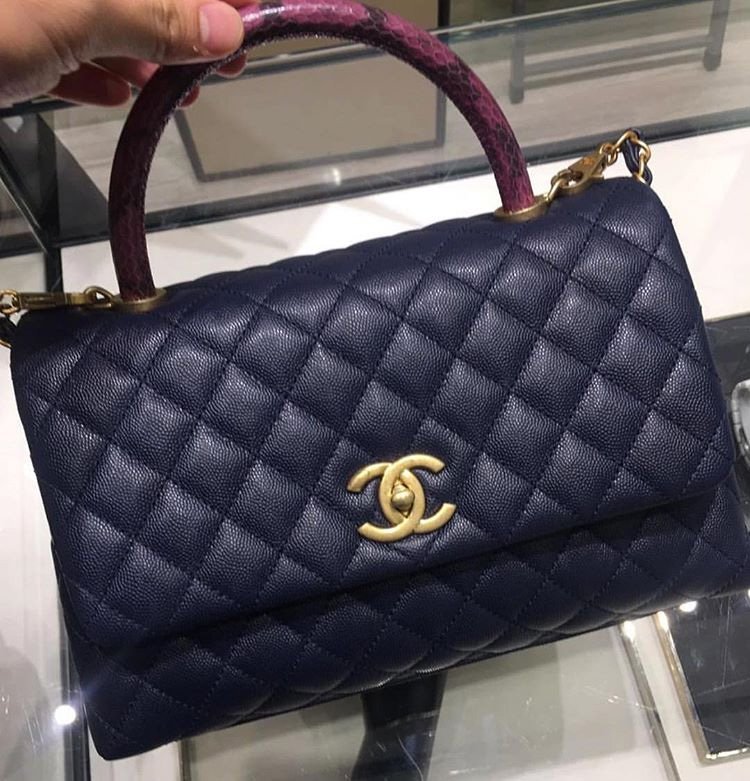 Chanel Coco Handle Bag With Elaphe Handle 10