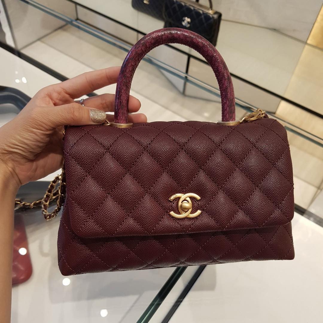 Chanel Coco Handle Bag With Elaphe Handle 11