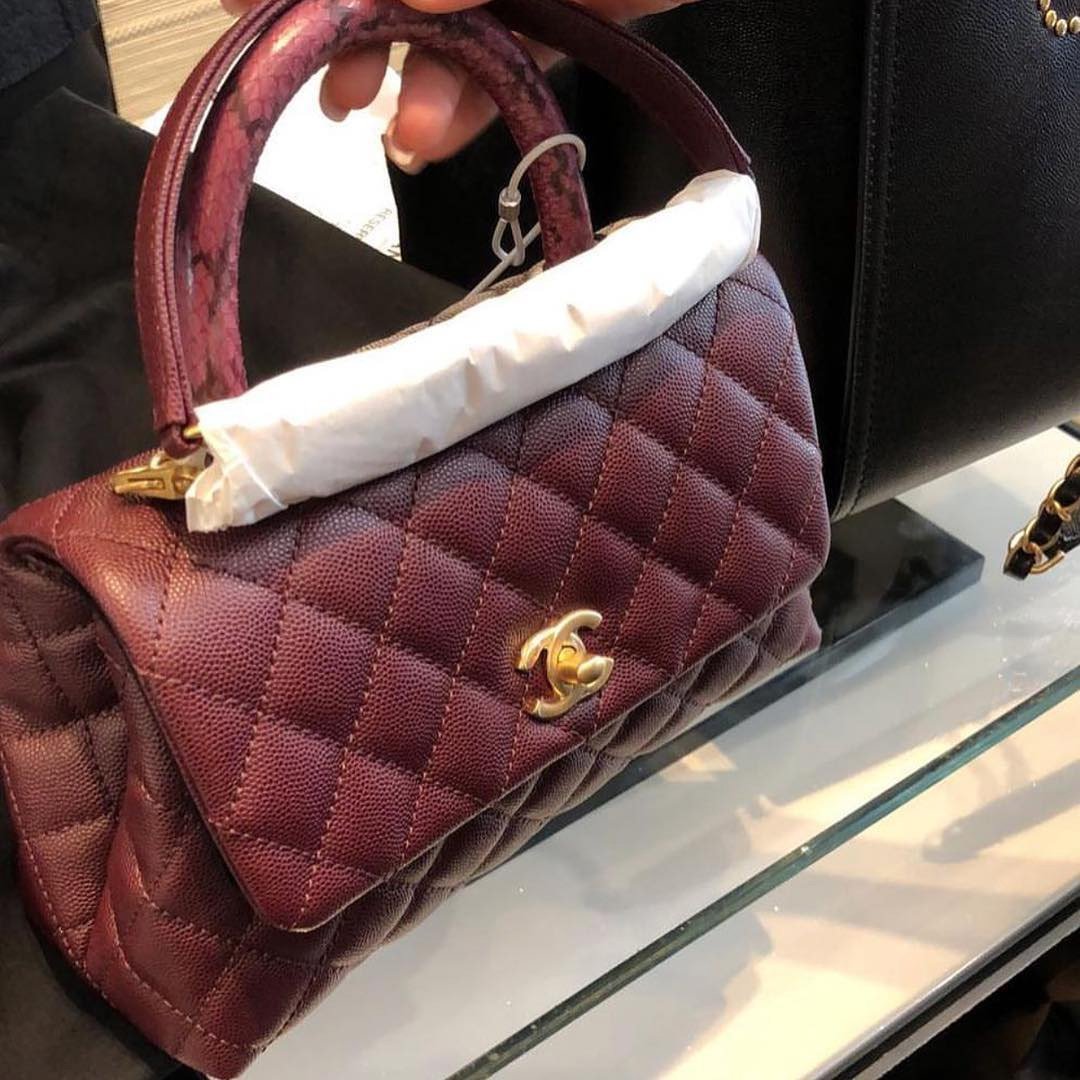 Chanel Coco Handle Bag With Elaphe Handle 12