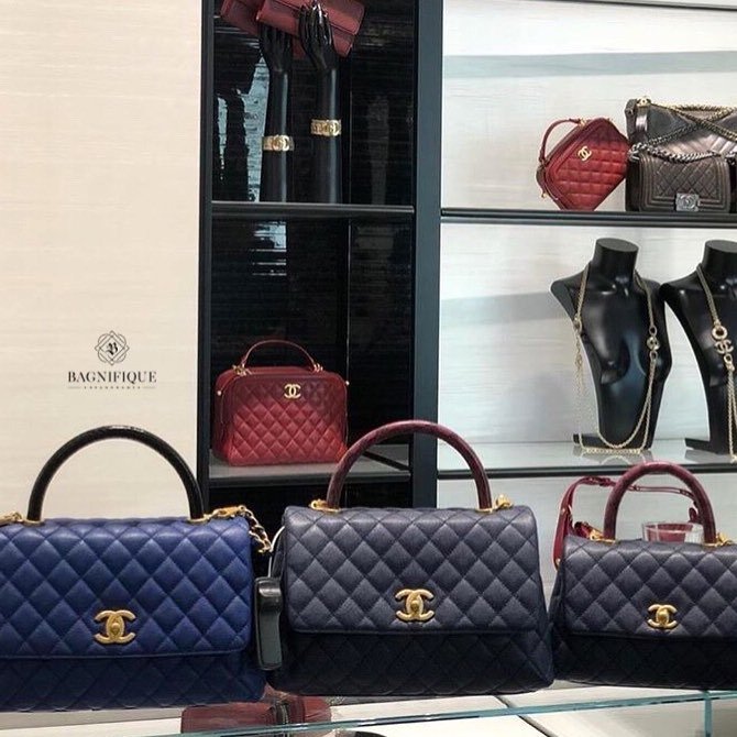 Chanel Coco Handle Bag With Elaphe Handle Bragmybag