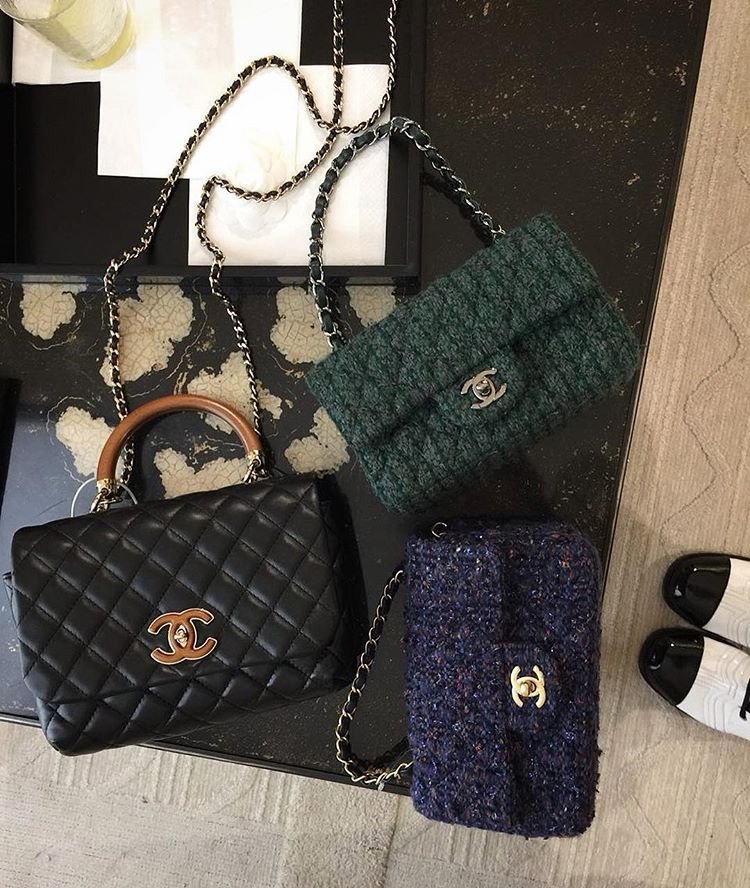 Chanel Coco Handle Bag With Elaphe Handle 8