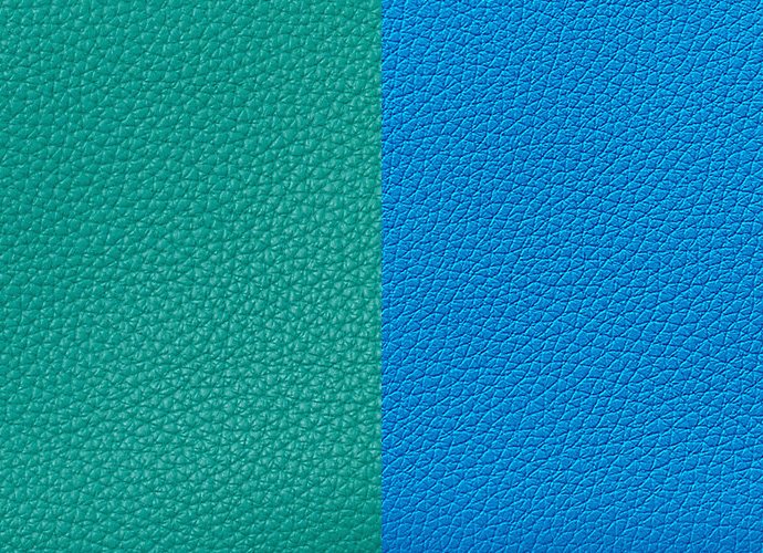 Blue Paon Blue Zanzibar