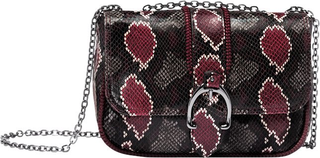 Longchamp Amazone Bag 13
