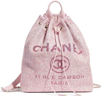 Chanel Cruise 2019 Seasonal Bag Collection | Bragmybag