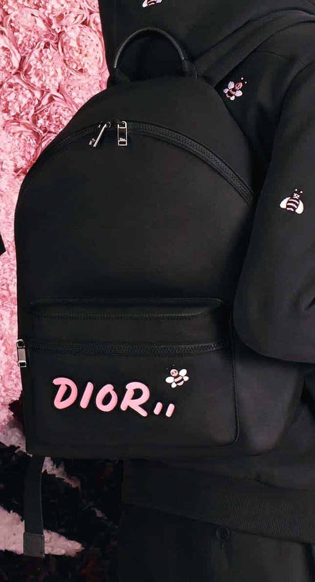Dior x Kaws Nylon Backpack