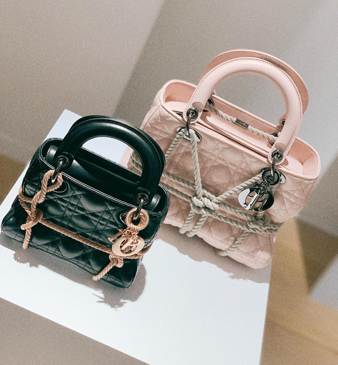 Lady Dior Metal Ropes Bag by Morgane Tschiember | Bragmybag