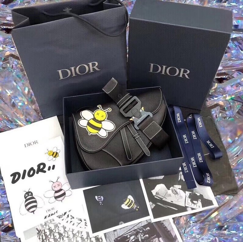 Dior x Kaws Saddle Bag