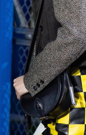 Louis Vuitton Fall 2019 Bag Preview | Bragmybag