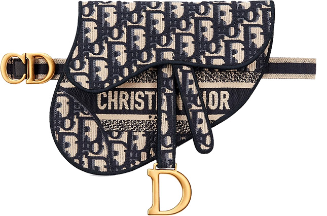 Dior Saddle Oblique Original Bag