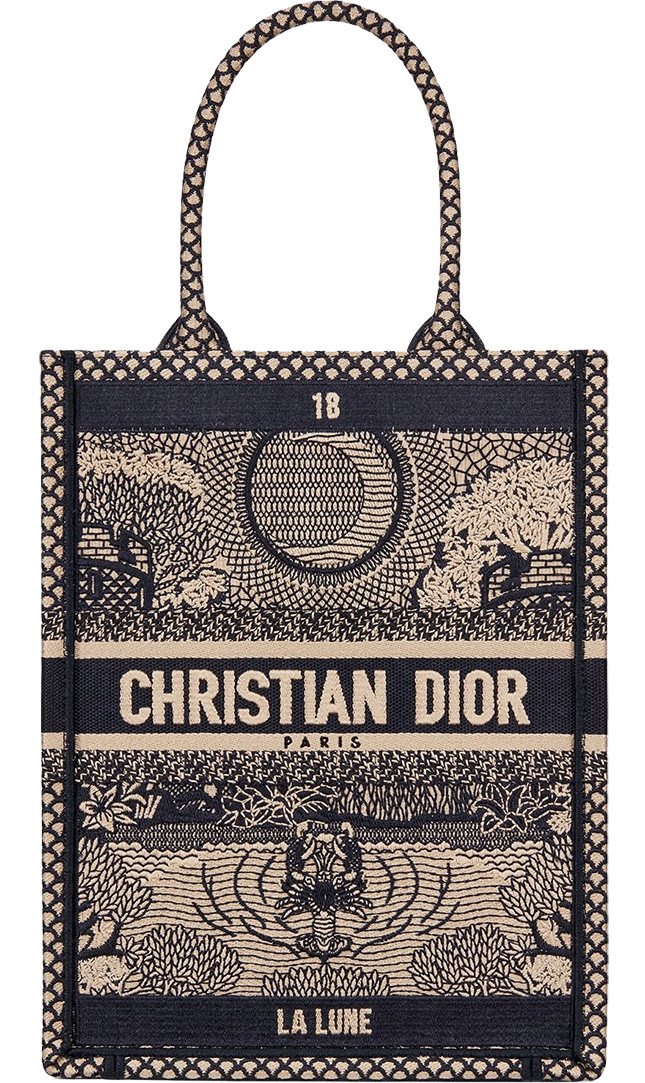 Dior Vertical Book Bag