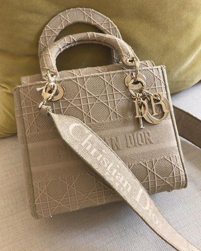 Lady Dior Embroidered Cannage Bag