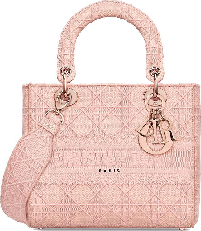 Lady Dior Embroidered Cannage Bag