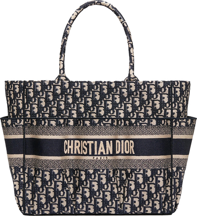 Dior Catherine Bag | Bragmybag