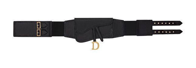 Dior Saddle Belt Bag Style