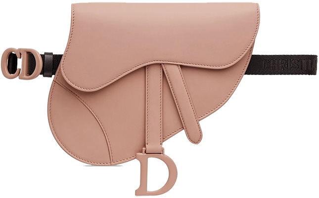 Dior Saddle Flat Belt Pouch