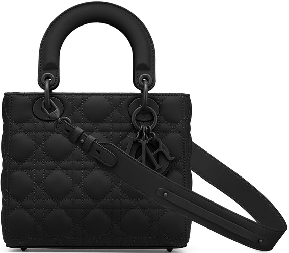 Lady Dior Ultra Matte My ABCDior Bag