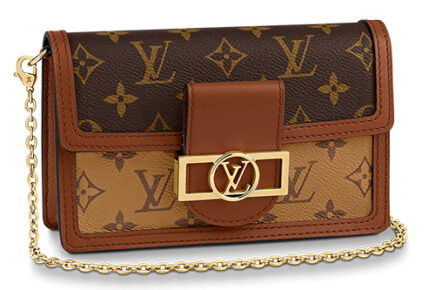 Louis Vuitton Dauphine Wallet On Chain thumb
