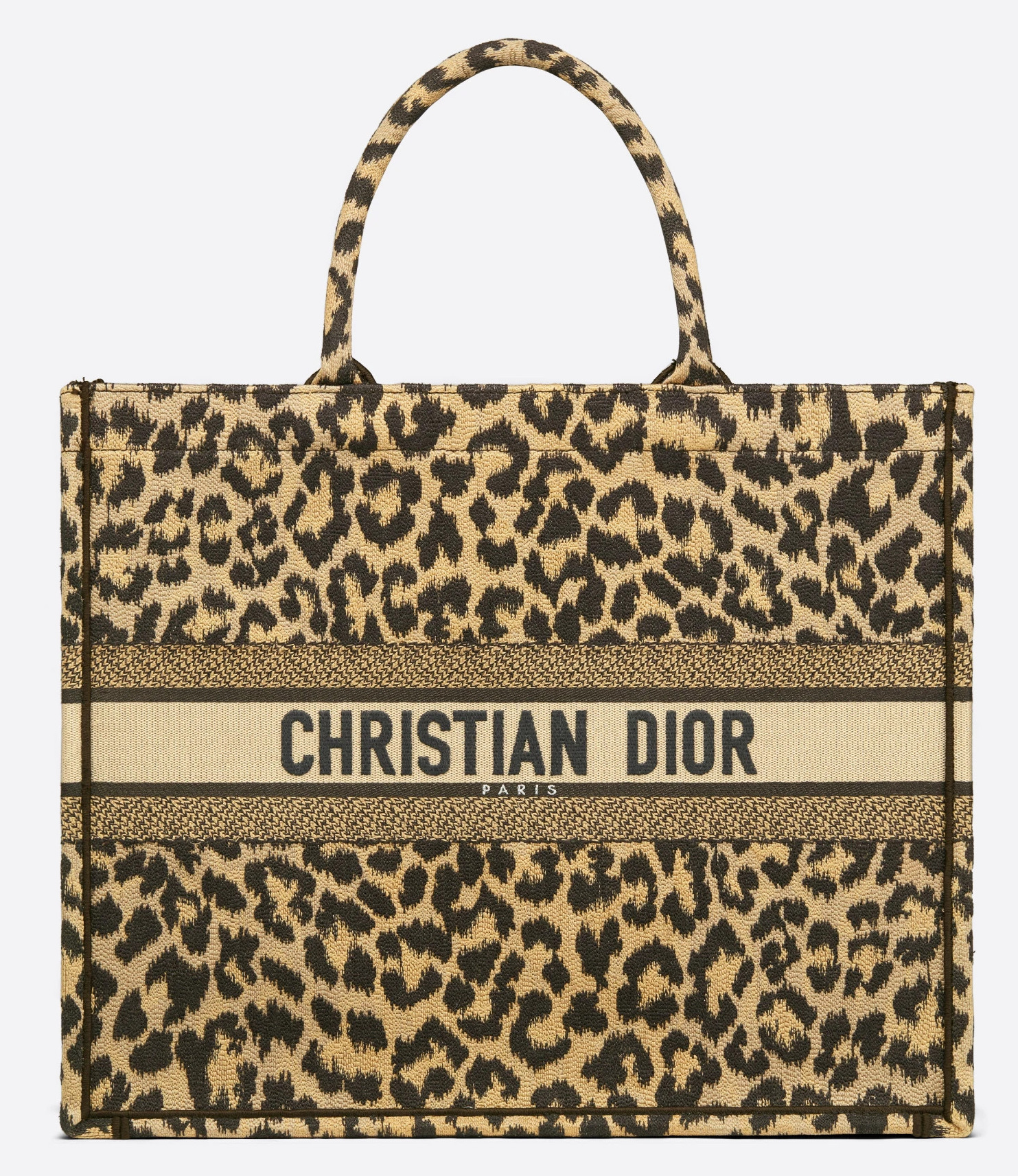 christian dior flap bag